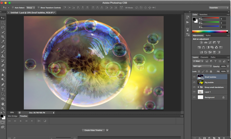 Screen Shot bubble dandelion